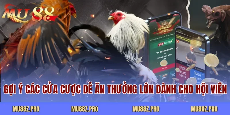 Gợi ý các cửa cược dễ ăn thưởng lớn dành cho hội viên